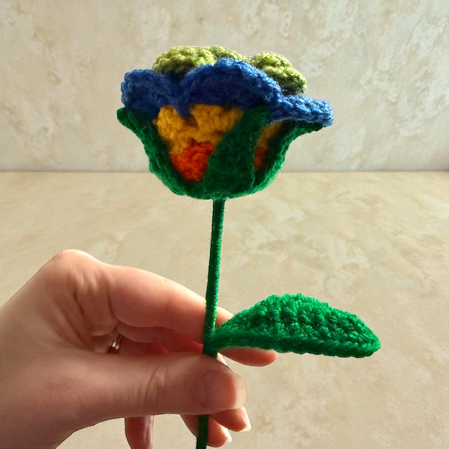 Limited Edition Crochet Rose - Carnival (Option 2)